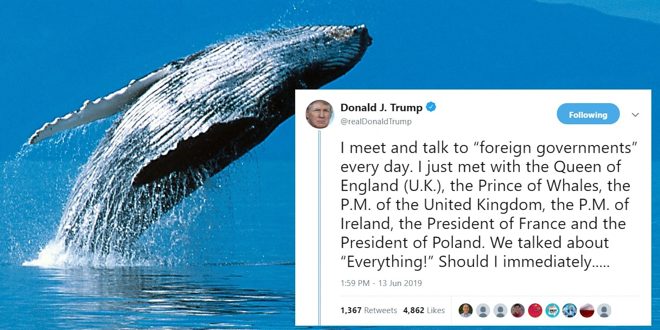 Charles Prince of Whales Trump