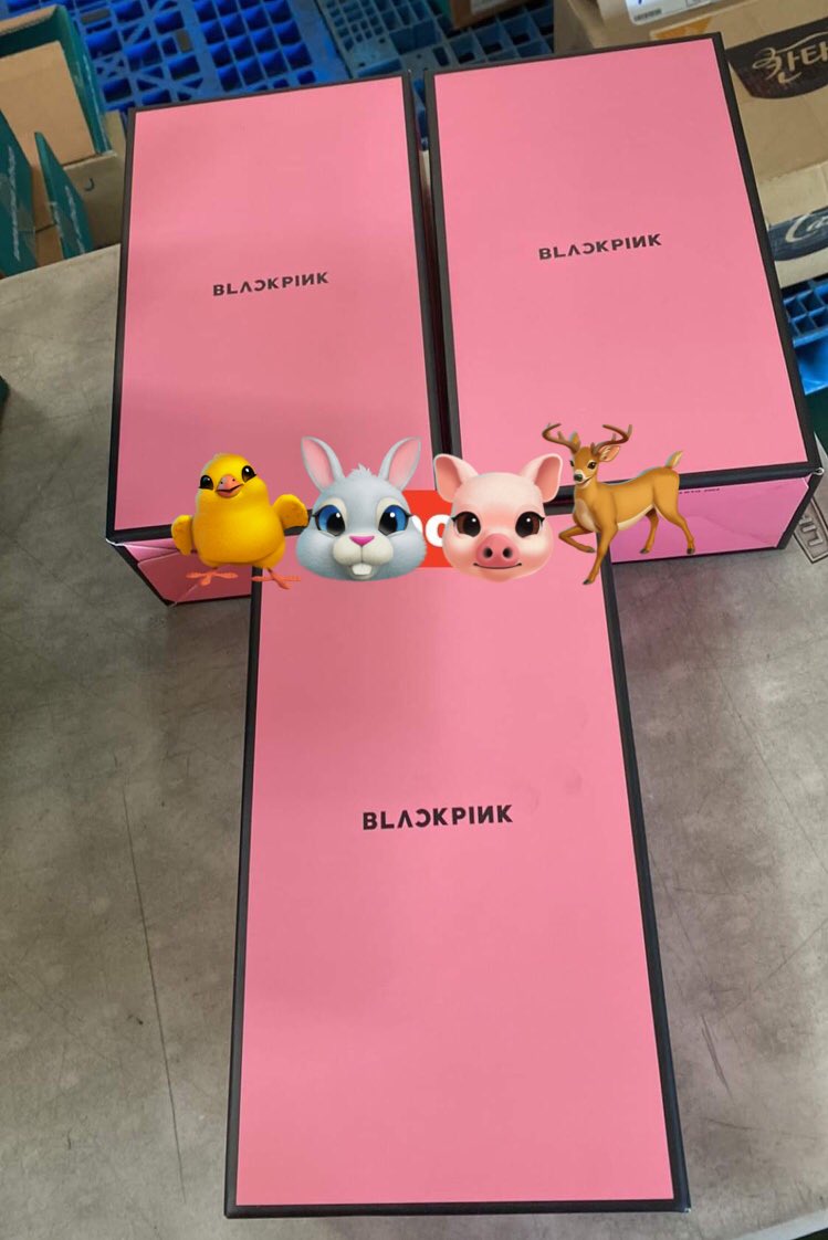 dreamerchph's tweet photo. [#DreamerchPhUpdates 📢] 

— Blackpink Official LightStick ver 2 delivered in our KR address! 

✨ we have extras pa Get nyo na 😉 https://t.co/CcKRtcTLWA