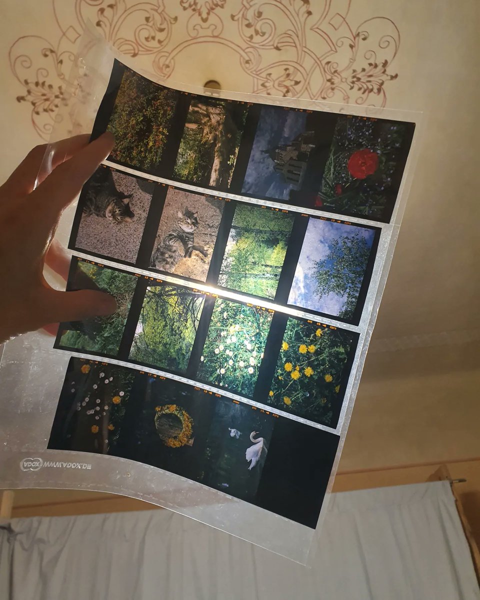 darkdarkroom1's tweet photo. Yesterday i visited darkroom @berliner.studio in Lviv.

It was a very nice meeting with guys, we spoke a bit about shooting, printing and developing.

The place is awesome. I really like the vibe of it.

See you soon ☺️

#darkroom https://t.co/EU1S7WBKJP