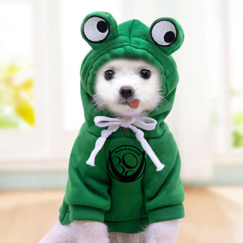 DMCperksandpets's tweet photo. "Hop" on over to check out one of these adorable dog sweaters we are now selling at Perks and Pets Café! 🐸🐶
#Petwintersafety
#Winteriscoming
#perksofkeepingyourpetssafe https://t.co/lL9w5WVeNb