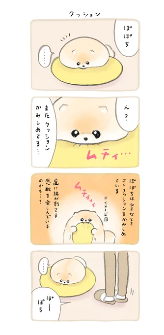 ふわふわポメのぽぽち
ぽぽちがほんの一瞬だけ見せる顔の話 