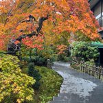 飛騨亭 花扇のツイート画像