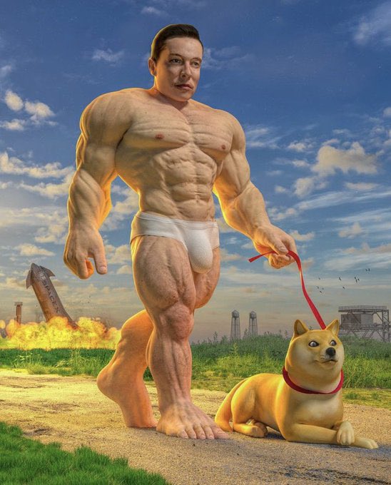 BabyDoge's tweet photo. @elonmusk https://t.co/jOcODlwI9F