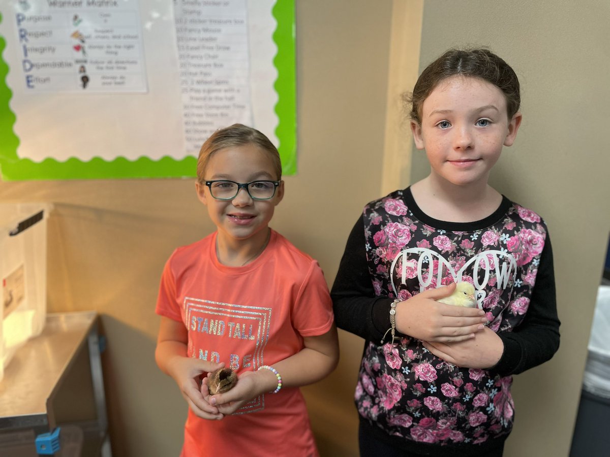 We are so excited the chicks are hatching <a href="/WarnerCFISD/">Warner Elementary</a> <a href="/CyFairISD/">Cypress-Fairbanks ISD</a> <a href="/shenna_aucoin/">Shenna Aucoin</a>