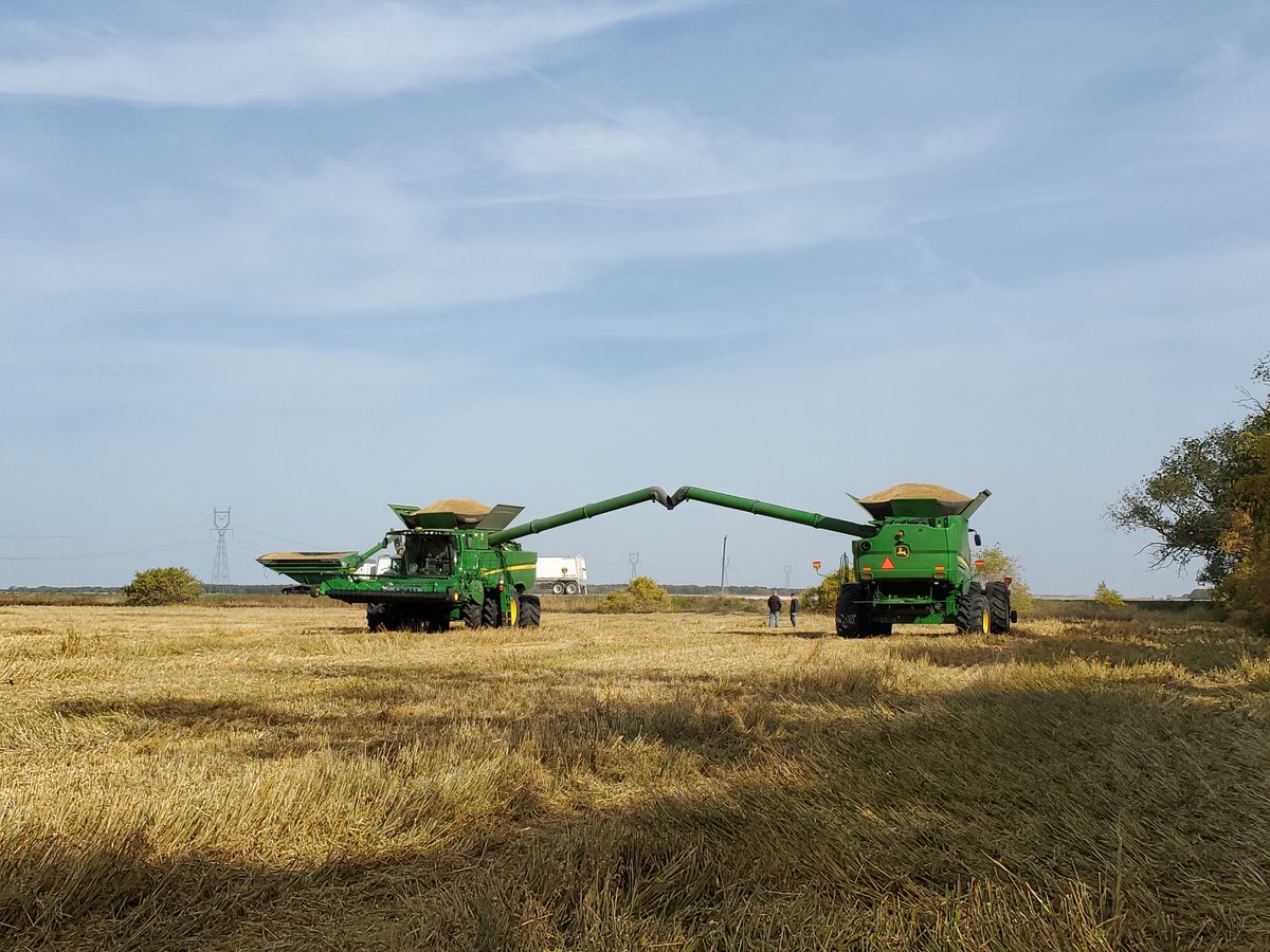 Does this picture count?