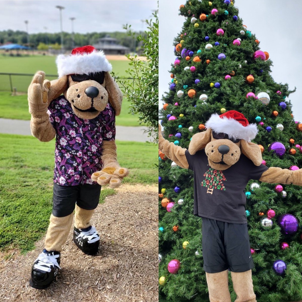 November is here. Counting down to Christmas 🎄.