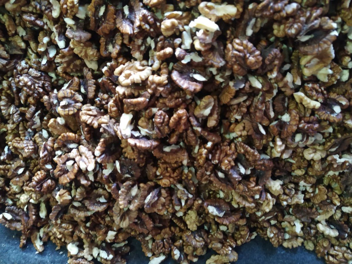 sfacindia's tweet photo. #Organic #Walnut Kernels- #pure #fresh and #healthy from #FPO #farmers of Manhara Farmer Producer Co Ltd, Banjar Kullu #Himachal Pradesh #sourceitright #nutrition #plantbased #vegan @AgriGoI @ShobhaBJP @KailashBaytu @nstomar @mygovindia @CMOHimachal https://t.co/2mo59QV587