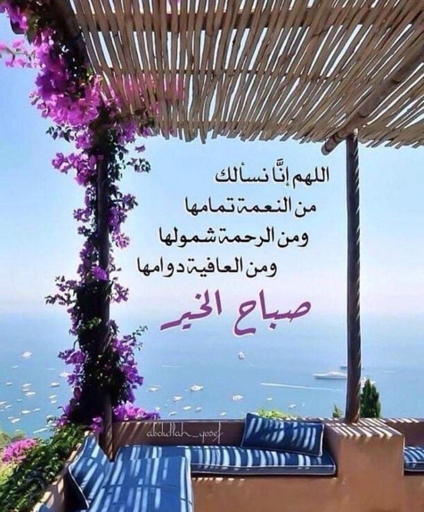 شبكة الزبير الرسمية tweet media