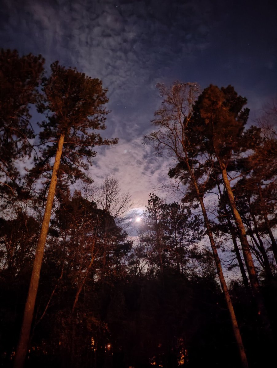 Cool, clear fall night in #Alpharetta Georgia