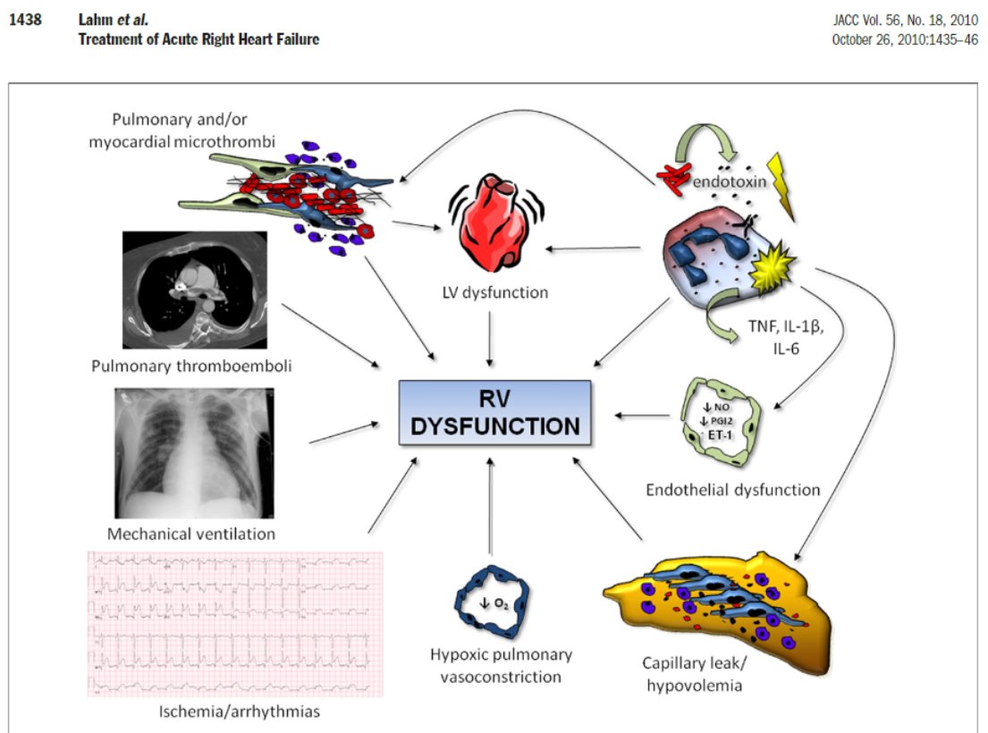Daniel Asher, MD tweet media