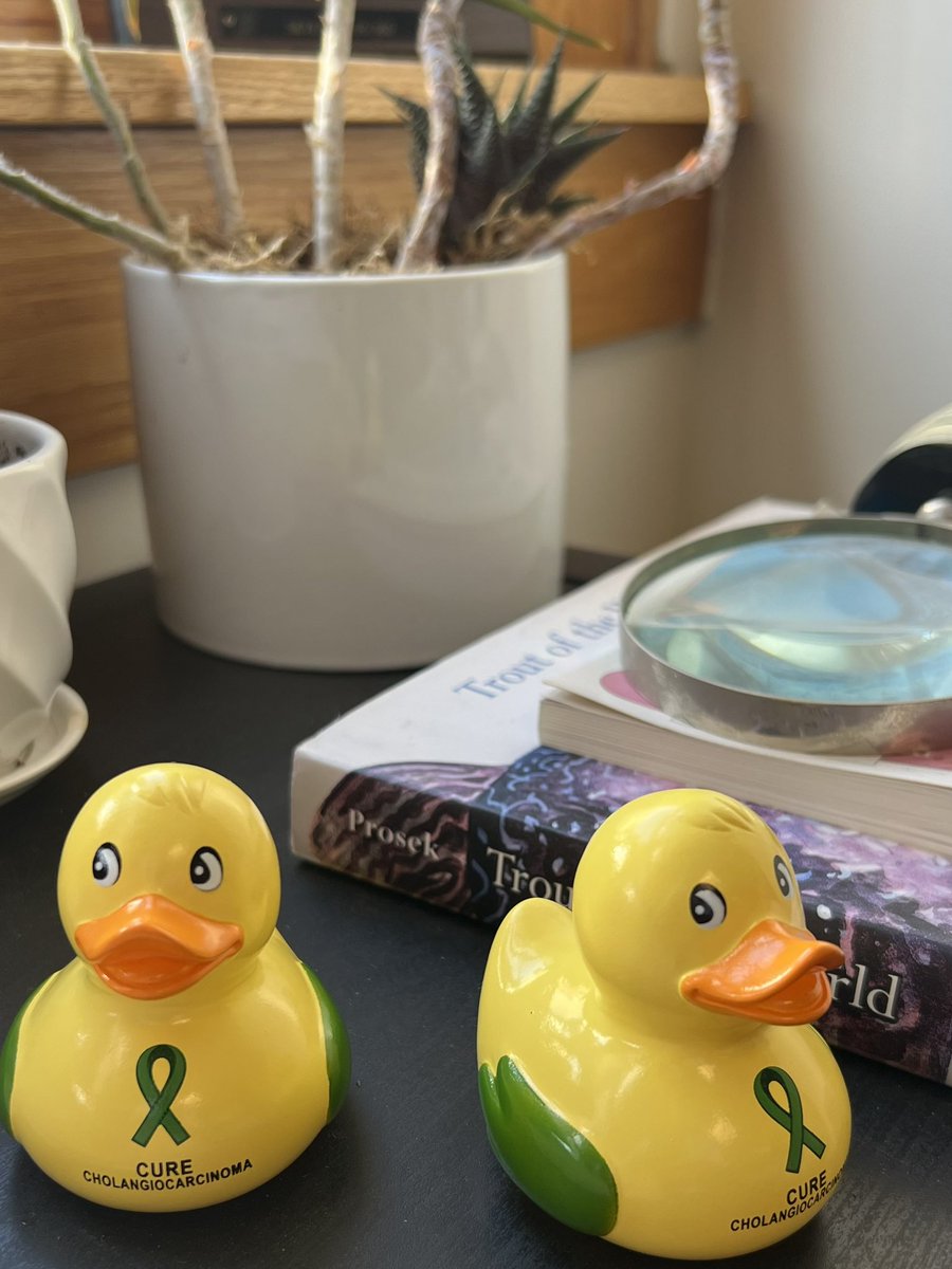 Skye C. Mayo, MD, MPH tweet media