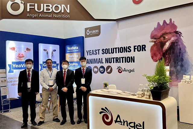 AngelyeastChn's tweet photo. Recently, exhibitions on #animal #nutrition have been held around the world, and #Angel has actively participated in the #FIGAP 2022 in Mexico, the #AGRENA 2022 in Egypt and #IPPE exhibition in the United States, promoting products such as #YeaVita R, #YeaMOS S, and yeast glucan. https://t.co/n2nMRumfIk