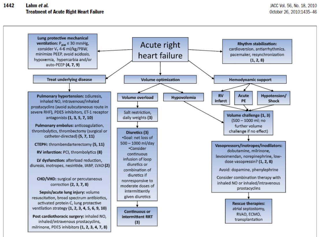 Daniel Asher, MD tweet media
