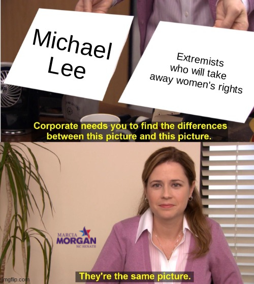 Michael Lee votes with his party's extremists 99% of the time--even if it means endangering women's lives.