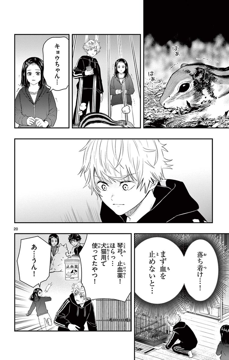 捨てられたペットのゆくえ
 4/8 