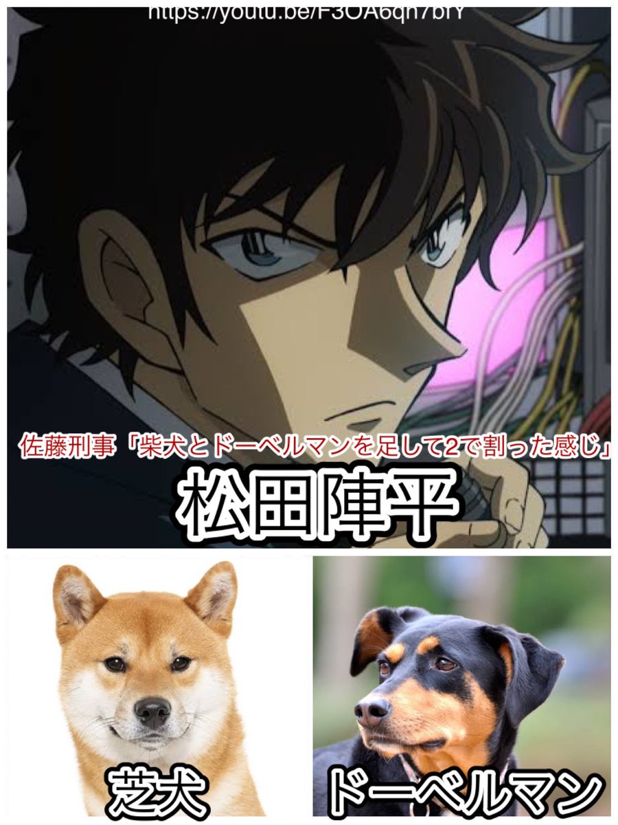 名探偵コナン fan's selection 缶バッジ 松田陣平 focusdata.com.co