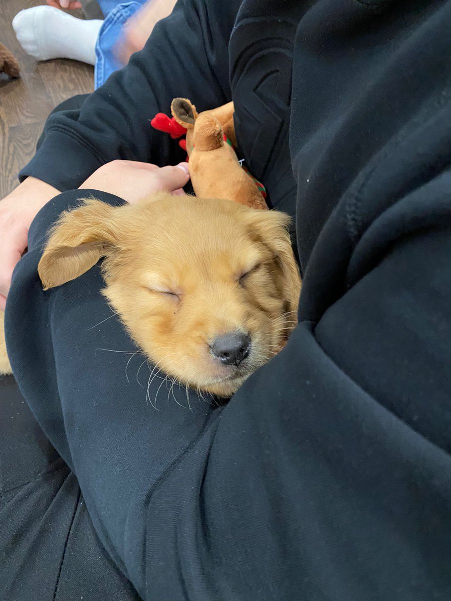 Say hi to AJ. Flew back from Vegas to see him and his little brother 😍