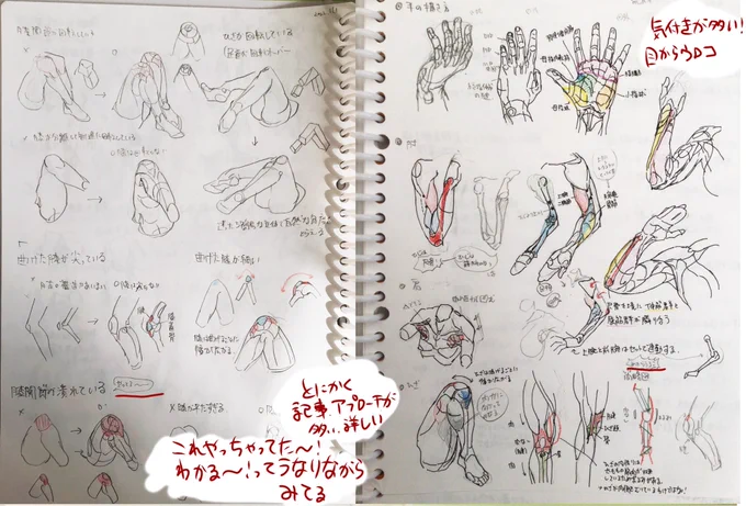 漫画素材工房さまにrt頂いてました!
あなたの疑問はどこから?私は膝から!みたいな感じで調べたり、描きたい絵での部位ごとに補填したりして勉強させていただいてます。最高の処方箋です!(画像は全てpixiv公開分を参考にしています)
構造の理解が深まるのを実感しています。本当に感謝です…!🙏 