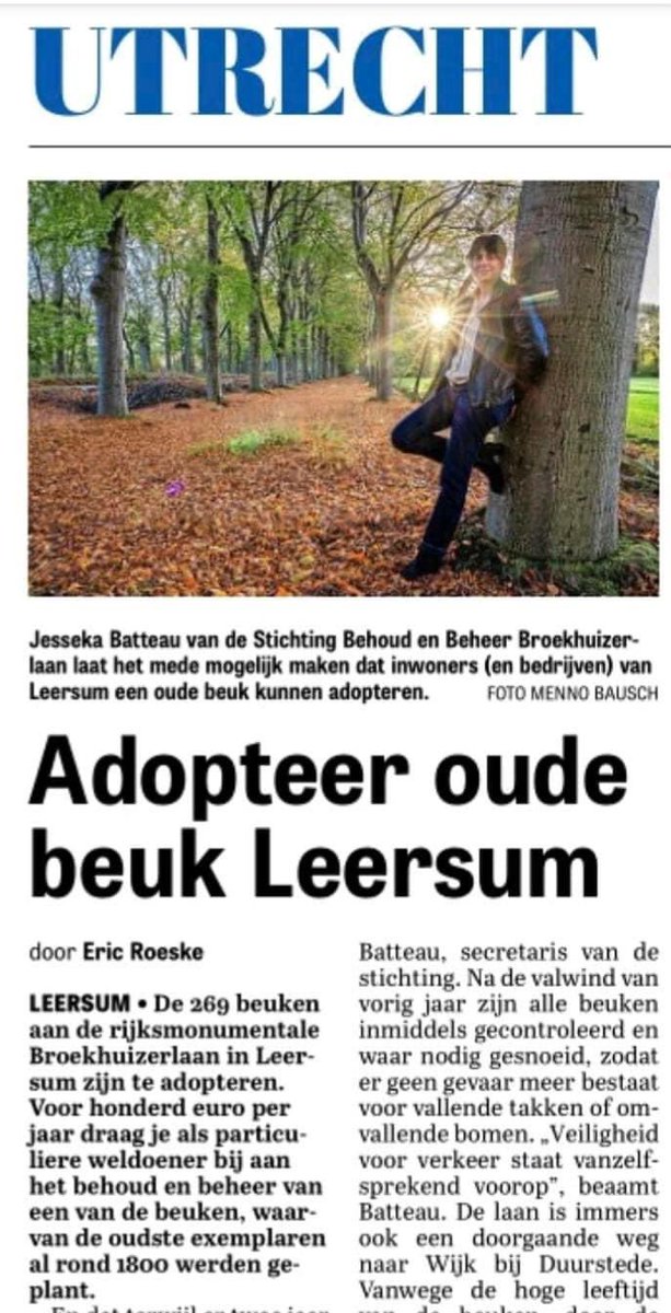 Vandaag in de Telegraaf-Utrecht een verhaal over onze stichting <a href="/broekhuizerlaan/">broekhuizerlaan</a>; je kunt als particulier of bedrijf voor 5 jaar een boom adopteren! Kies zelf je adoptieboom; kijk voor meer op Broekhuizerlaan.nl
#oudebomen #beukenlaan #broekhuizerlaan #levenderfgoed