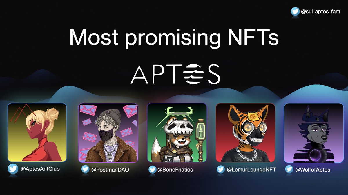 Sui & Aptos NFT tweet media