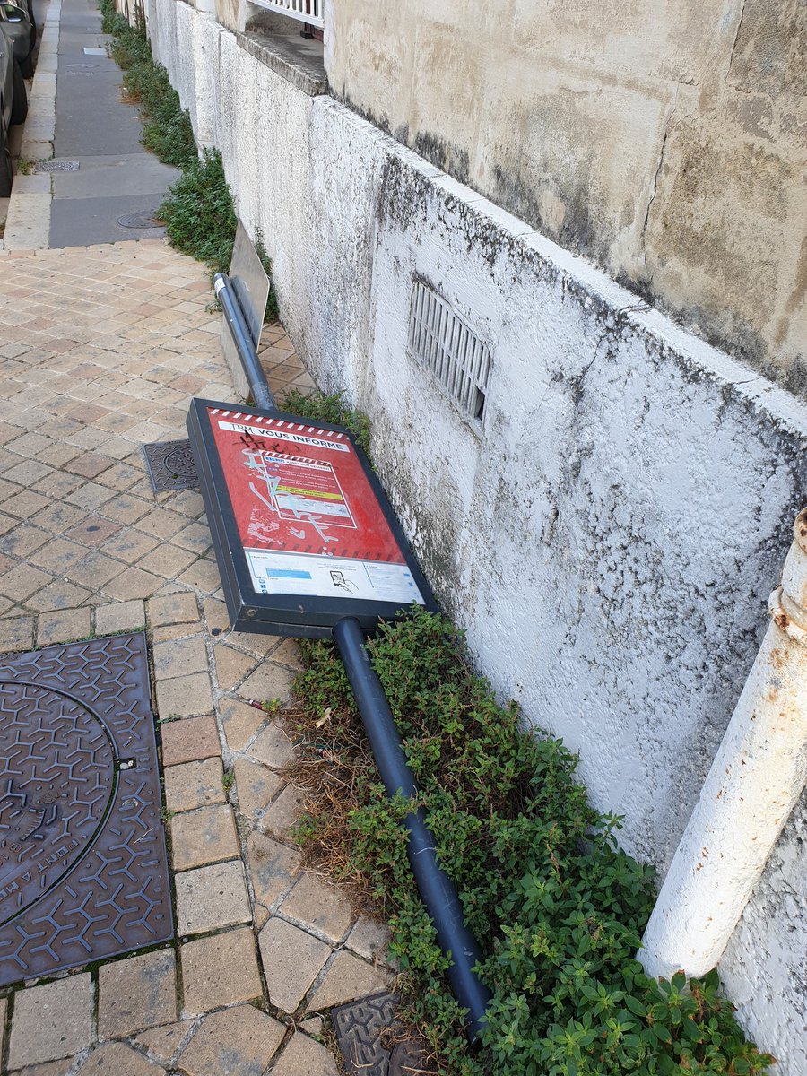 BrigitteBLOCH tweet media