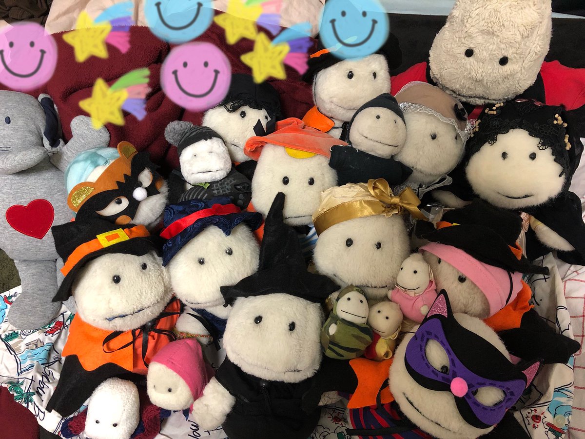 Fred (@Fred_terriot) / Posts / X