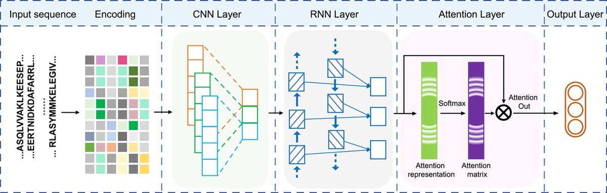 iMetaScience's tweet photo. DeepKla: An attention mechanism‐based deep neural network for protein lysine lactylation site prediction. Freely accessible at https://t.co/lDxawlQlMe
#Bioinformatics #webserver #neuralnetworks #lactylation
@wileyinresearch 
https://t.co/B1AYJcBSK6 https://t.co/7EHZXB2bqC
