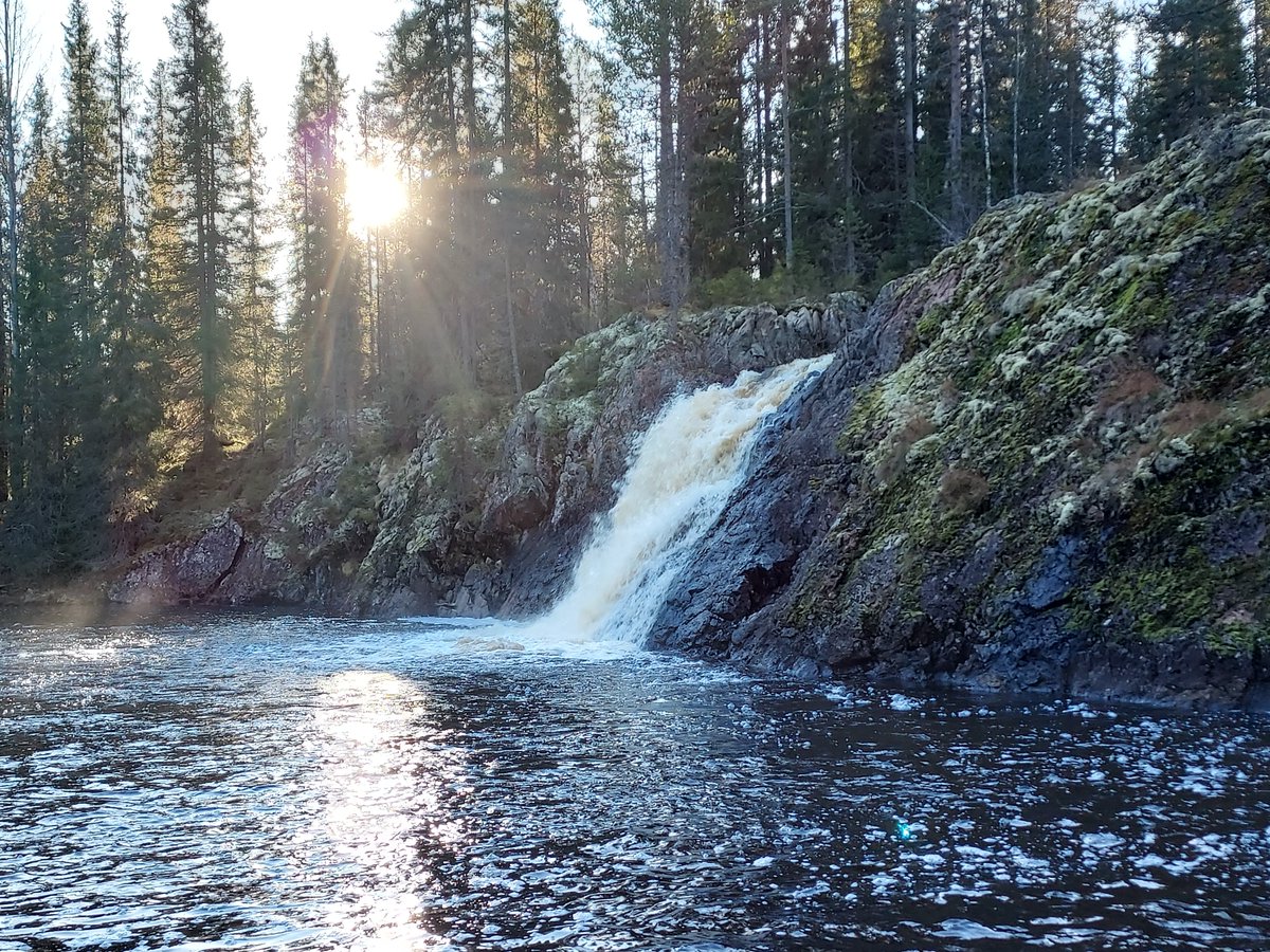 Noin 2 % jäteveden puhdistukseen menevästä vedestä ylivuotoon tai ohitukseen
Paikallisesti vaikutus voi olla suurikin> sinilevät, happitilanteen heikentyminen,myös pintavesien hygieninen laatu

#ytp2022 #ympäristöterveys 
J Laitinen/ <a href="/syke/">Matt Hargett</a>

Kuva Kömulanköngäs, posit. ylivuoto...