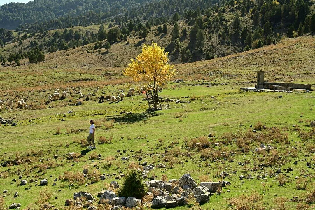 Antalya İl Kültür ve Turizm Müdürlüğü tweet media
