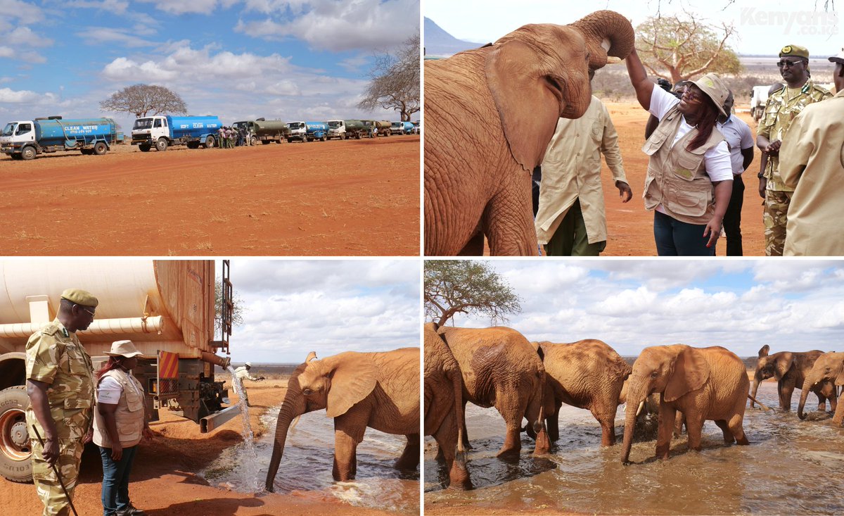 Tourism CS Peninah malonza with KWS officials at Tsavo East National Park to supply water to elephants