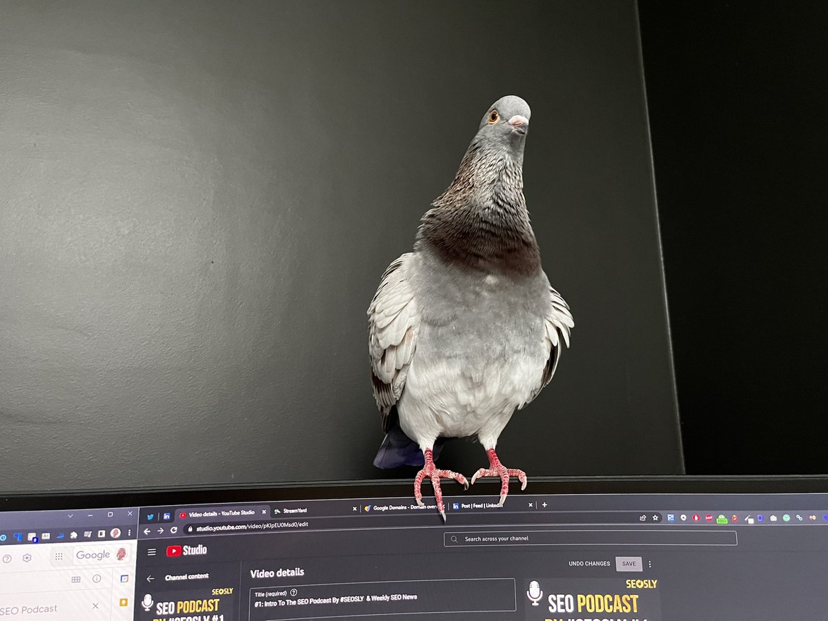 olgazarr's tweet photo. I never thought doing an #SEO podcast and YT would be so much fun. I love it. A lot of cool stuff is coming soon for you. I am doing it full time, after all. Yeah!😅 https://t.co/yppoZAWmaJ