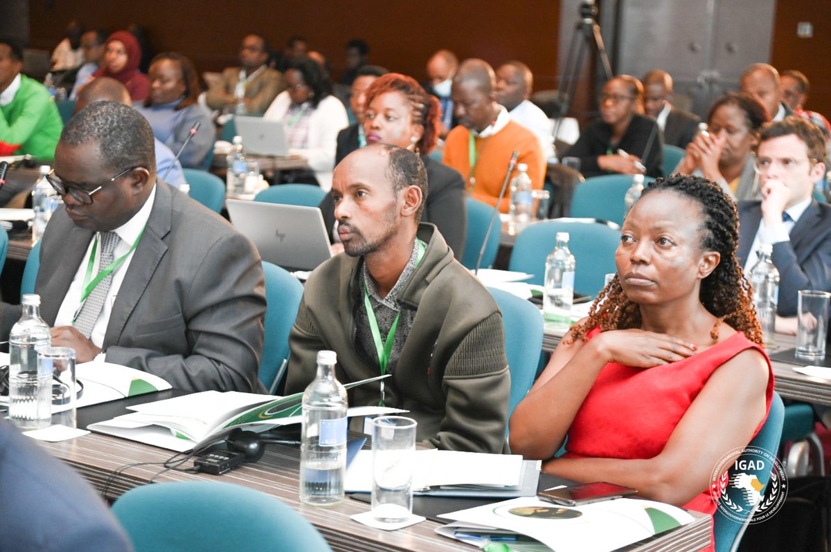 IGADHealthS's tweet photo. Day 2 of the 3rd #IGAD Scientific Conf on Migration &amp; Displacement

Themes being covered this morning are
✅social cohesion before the backdrop of climate change
✅(Un)equal opportunities due to gender, age, ability, ethnicity &amp; their intersections

#IGADScientificConf2022 https://t.co/B1jMWshYNh