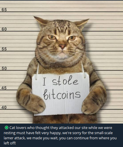 berkbykn's tweet photo. Round 2.. https://t.co/8xoPolsWj0