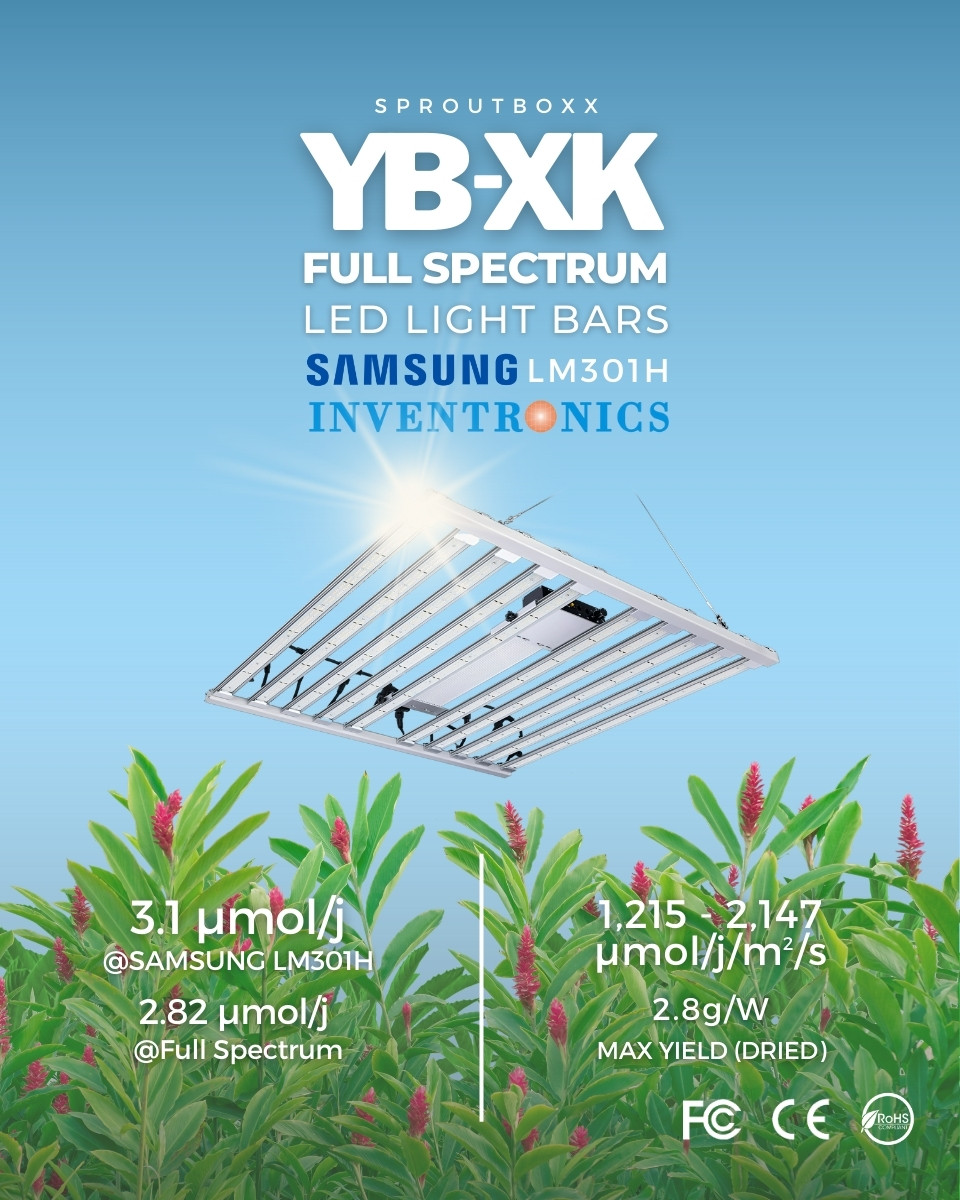 SproutBoxx's tweet photo. Ditch the bro-science!🗑️ Two days of darkness will not substitute months grown in sub-optimal conditions!😂 
➡️Be sensible with nutes, check pH, and use full spectrum lights that deliver the right DLI and optimize for veg and flower. Grow Like a Pro 💚 https://t.co/S8qfUujapm https://t.co/YdMS1Z9bWf