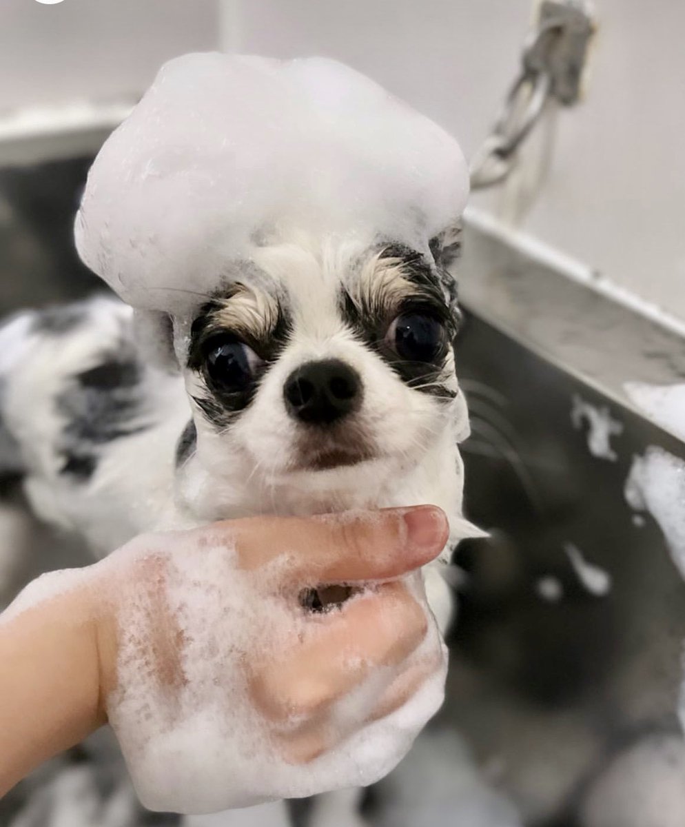 🎃もえ tweet media