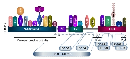 Biomedicines MDPI (@biomed_mdpi) on Twitter photo 💜Paper Recommendation:
Searching for #Peptide Inhibitors of T Regulatory Cell Activity by Targeting Specific Domains of FOXP3 Transcription Factor
via <a href="/Biomed_MDPI/">Biomedicines MDPI</a>
mdpi.com/2227-9059/9/2/…
Topic: #Peptide #Inhibitors 💜Paper Recommendation:
Searching for #Peptide Inhibitors of T Regulatory Cell Activity by Targeting Specific Domains of FOXP3 Transcription Factor
via <a href="/Biomed_MDPI/">Biomedicines MDPI</a>
mdpi.com/2227-9059/9/2/…
Topic: #Peptide #Inhibitors