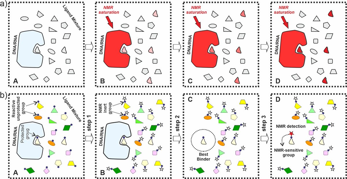 iqf_csic's tweet image. #IQFRPaper Binding-driven reactivity attenuation enables NMR identification of selective drug candidates for nucleic acid targets 

Collaboration with @IQOG_CSIC #CISQ @unirioja 

🔗bit.ly/3FBs4Fi