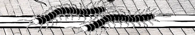 1回描いた絵は何回もコピーして貼り付けたりしてる🤣ムカデとか🤣‼️量産‼️