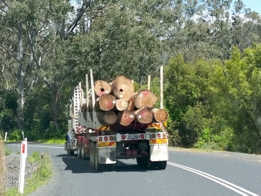 CloudsCreek's tweet photo. Native forest logging destroys threatened species habitats, forested water catchments and roads.
NSW Forestry Corporation destroys critical ecosystems and endangers all life!
#SaveEllis #GreatKoalaNationalPark #koalakillers #EndNativeForestLogging
#VoteForKoalas #NSWVotes2023 https://t.co/Lo4wPUNsax