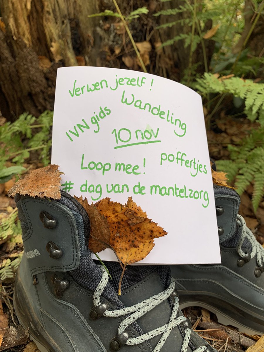 Wandel je graag en zorg je voor een naaste? Gun jezelf dit cadeau: een middagwandeling met <a href="/IVNNederland/">IVN Natuureducatie</a> gids én warme poffertjes (start 13:30). Want 10 nov zetten wij jou in het zonnetje op de Dag van de Mantelzorg!
Meld je aan via: mantelzorg@mensdebilt.nl  #Traktatie