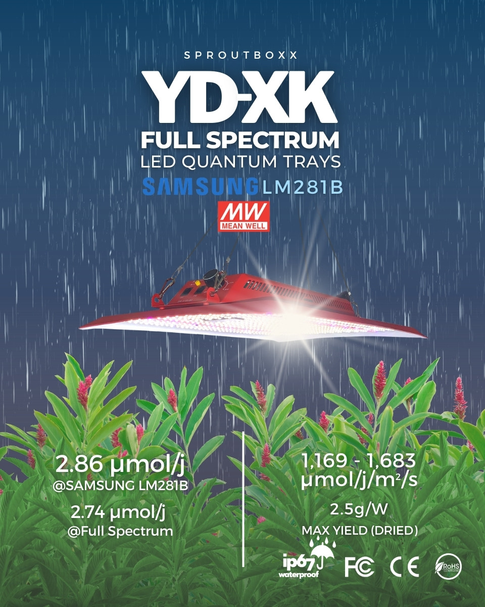 SproutBoxx's tweet photo. Ditch the bro-science!🗑️ Two days of darkness will not substitute months grown in sub-optimal conditions!😂 
➡️Be sensible with nutes, check pH, and use full spectrum lights that deliver the right DLI and optimize for veg and flower. Grow Like a Pro 💚 https://t.co/S8qfUujapm https://t.co/YdMS1Z9bWf
