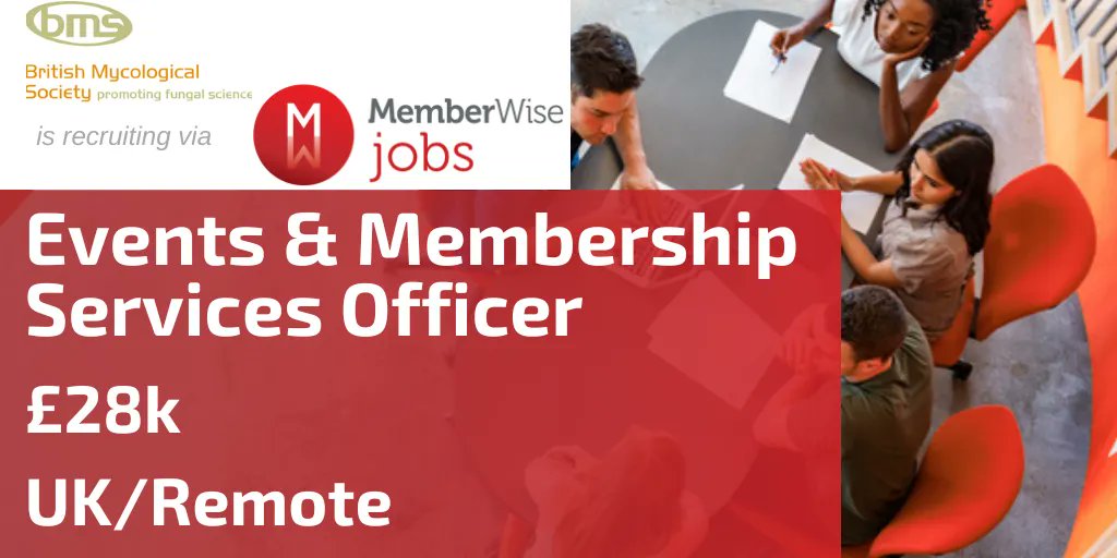 MemberWise Jobs tweet media