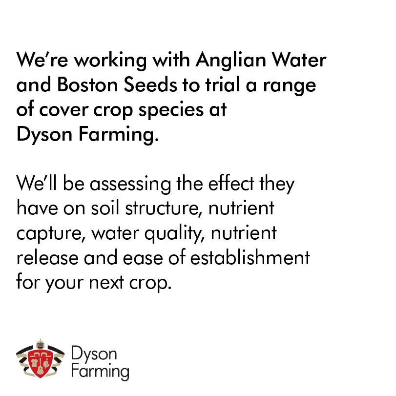 DysonFarming's tweet photo. We’re working with @AnglianWater and @BostonSeeds to trial a range of cover crops on our farms. Join us for our cover crop open day on 22 November.

More info and book your places here:
https://t.co/Qxi979l7Cg

📍 | Dovecote Hall Farm, LN4 4YH

#dysonfarming #covercrops #trials https://t.co/FQrJpAPg6u