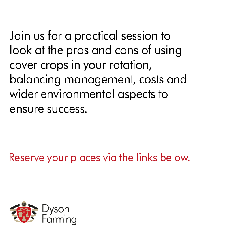 DysonFarming's tweet photo. We’re working with @AnglianWater and @BostonSeeds to trial a range of cover crops on our farms. Join us for our cover crop open day on 22 November.

More info and book your places here:
https://t.co/Qxi979l7Cg

📍 | Dovecote Hall Farm, LN4 4YH

#dysonfarming #covercrops #trials https://t.co/FQrJpAPg6u