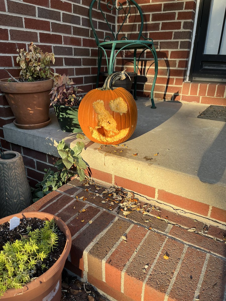 Deb Cooley tweet media