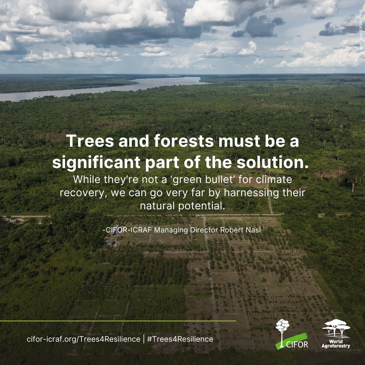 LandAllianceID's tweet photo. 🌳 #ForestsNews: Direktur Pelaksana CIFOR-@ICRAF, @ForestsMatter menyoroti peran #hutan dan pepohonan sebagai salah satu investasi terbaik menuju ketahanan.

🔗 Akses artikelnya https://t.co/e2IoF0Qb4h

@CIFOR @ICRAF #Trees4Resilience #COP27 https://t.co/5T8pLcd4tp