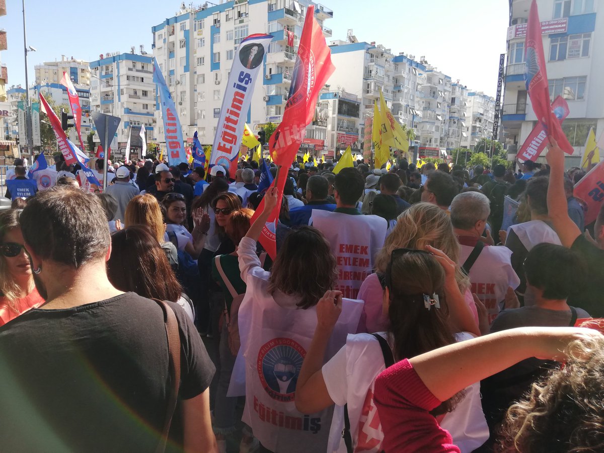 Emily kendimden mütevellit 🐞🐬 tweet media