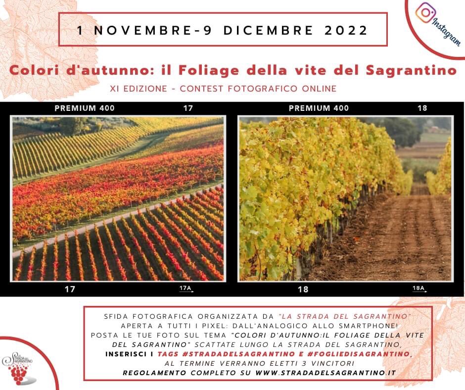 🍂🍃 Ritorna anche quest’anno la challenge “Colori d’Autunno,l 

📸🍂 Scatta una foto con il tuo, postala sul tuo profilo e taggaci insieme a Strada del Sagrantino. Non dimenticare di inserire nel tuo copy gli hashtag!
Guarda il regolamento sul nostro sito