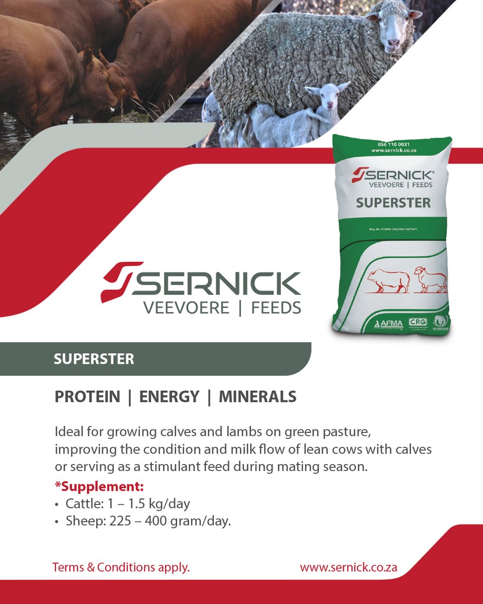 Sernick Superster is an energy, protein &amp; mineral supplement. It's suitable for growing out calves &amp; lambs on green pasture, improve the condition &amp; milk flow of lean cows with calves or as stimulant feed during mating season. Contact a technical advisor: bit.ly/3SOc9Xu