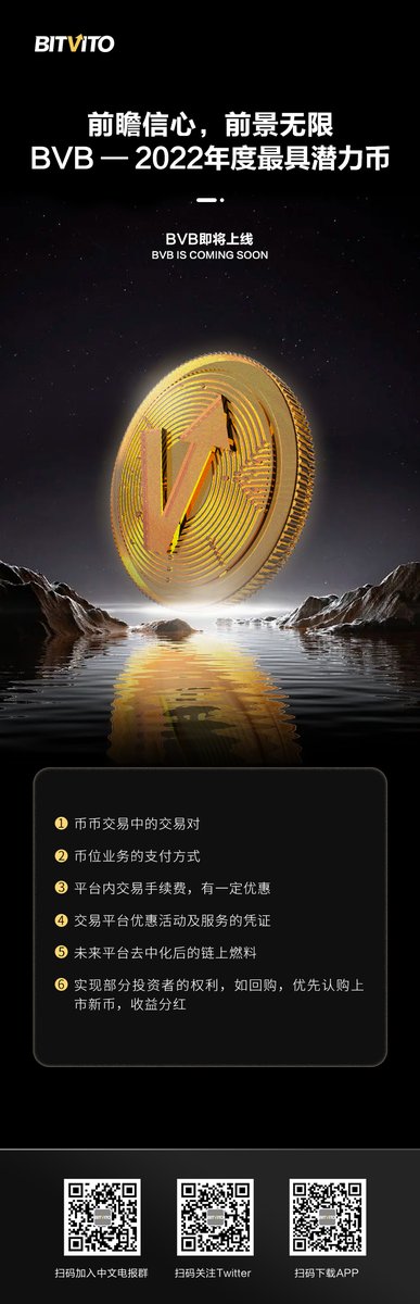 BitVitopro tweet picture